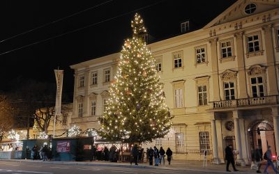 Hallstatt im Winter: Tagesausflug ab Salzburg und abends auf den Weihnachtsmarkt