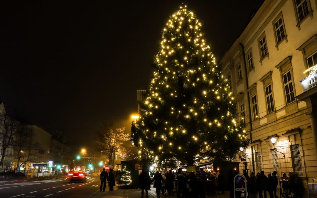 Beleuchteter Christbaum vor Schloss Mirabell am Abend, direkt neben dem Mirabellgarten